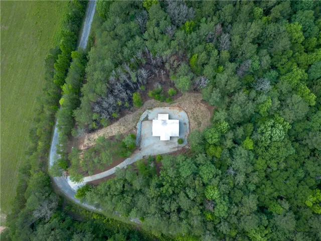 Perched amidst a verdant forest, this isolated home offers a tranquil retreat surrounded by nature.