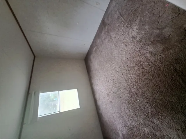 A well-lit room with plush carpeting offers potential for a personalized interior design.