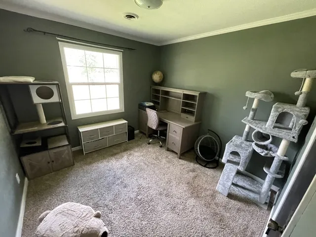 Well-lit room with ample space for work or leisure.