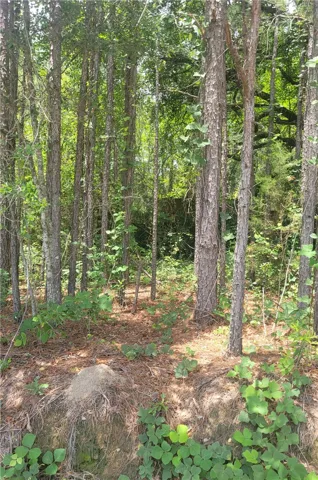 Discover a tranquil, wooded lot, a perfect setting for a custom build or secluded retreat.