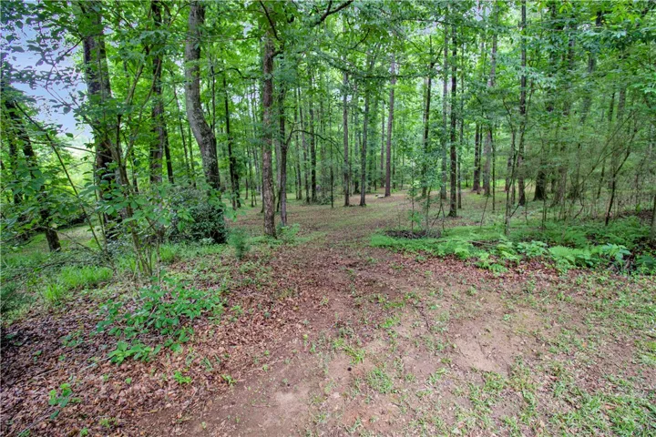 A tranquil wooded lot offers a private escape amidst natural beauty and towering trees.