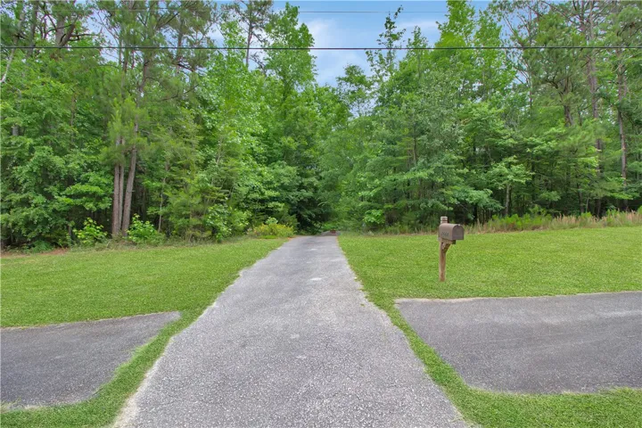 A long, private driveway guides you through a serene, wooded landscape.