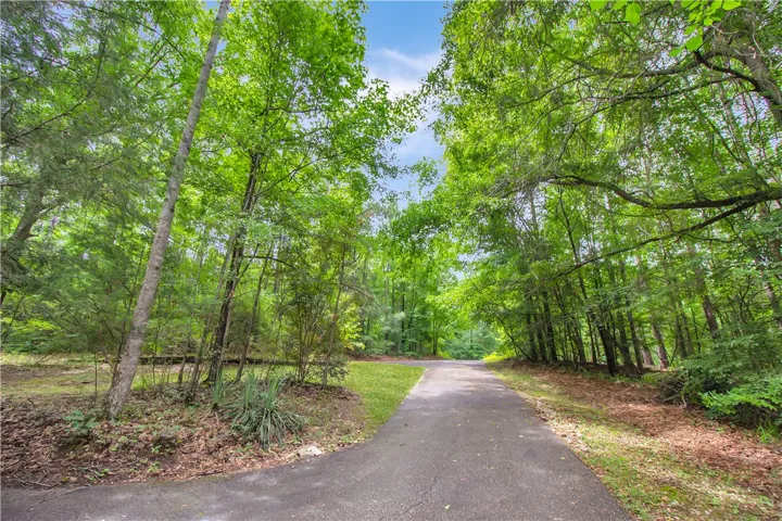 A tranquil asphalt drive winds through lush, mature trees, offering secluded natural beauty.