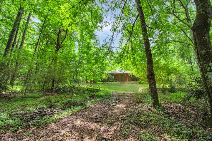 A secluded dwelling emerges through a verdant forest, offering peaceful privacy.