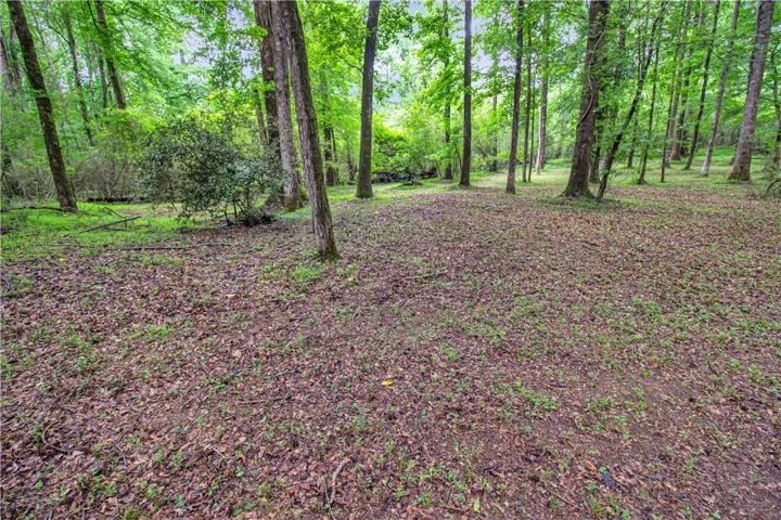 A tranquil, naturally illuminated lot offering abundant trees and a peaceful setting for a future home.