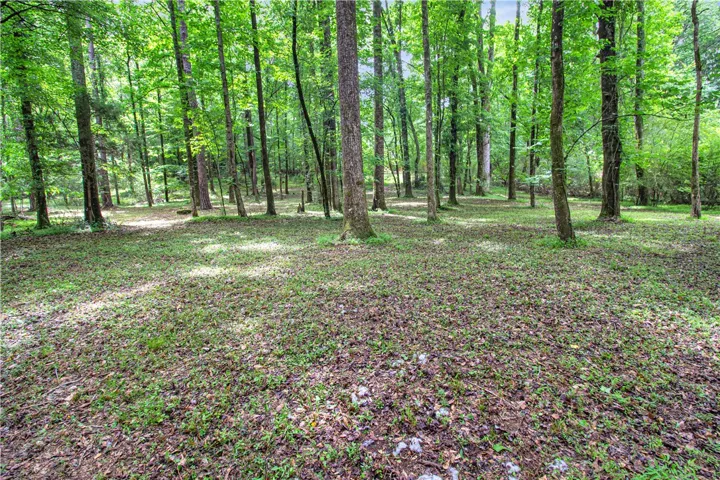 A tranquil, naturally illuminated woodland setting, offering a private escape into nature's embrace.