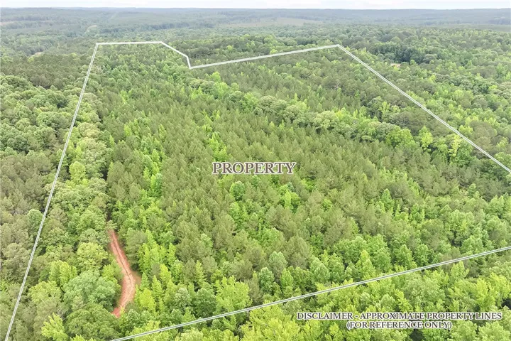 Vast, verdant forest acreage awaits your private estate, offering unparalleled natural serenity.