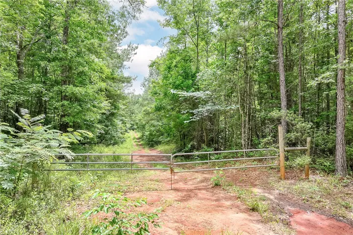 A private, gated entrance opens to a verdant, tree-lined path, leading to serene undeveloped land.