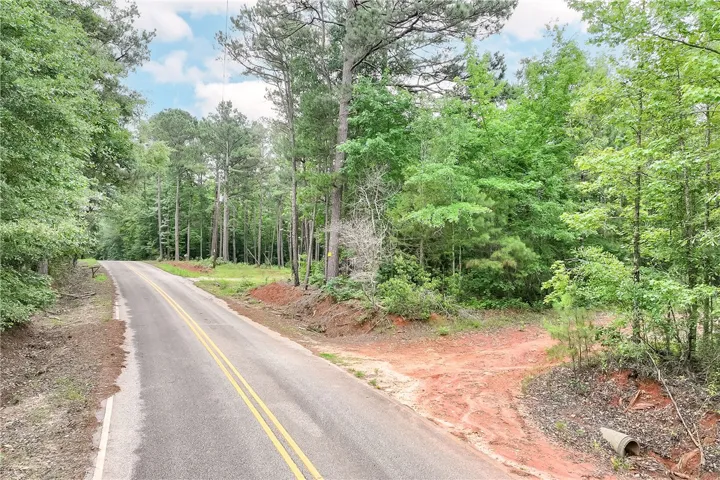 A tranquil, tree-lined road winds through this verdant and private lot.