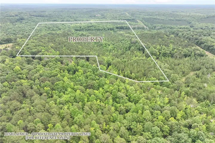 A verdant, sprawling property awaits, outlined by a natural boundary of trees and foliage.