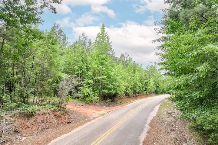 A tranquil, tree-lined road winds through nature, offering a peaceful setting for your future home.