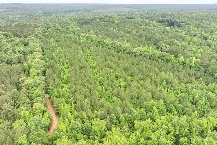 A winding path cuts through an extensive, verdant forest, offering serene views.