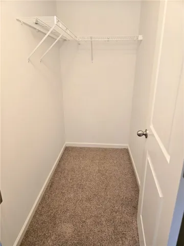 A well-organized closet with ample storage solutions and plush carpeting.