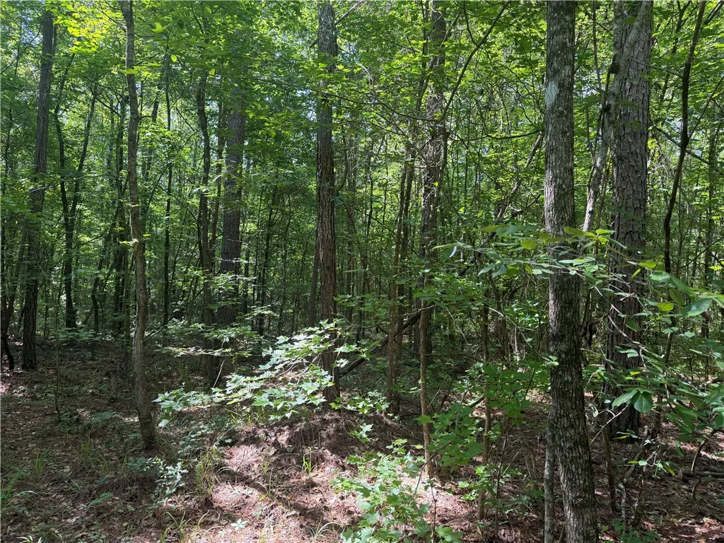 Mature trees and lush greenery offer a tranquil, private setting.