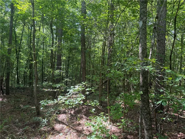Mature trees and lush greenery offer a tranquil, private setting.