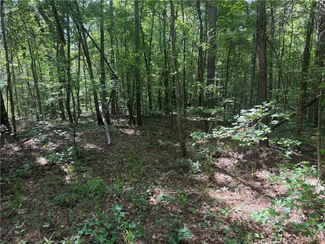 A tranquil wooded lot offers a peaceful, private setting amidst natural foliage.