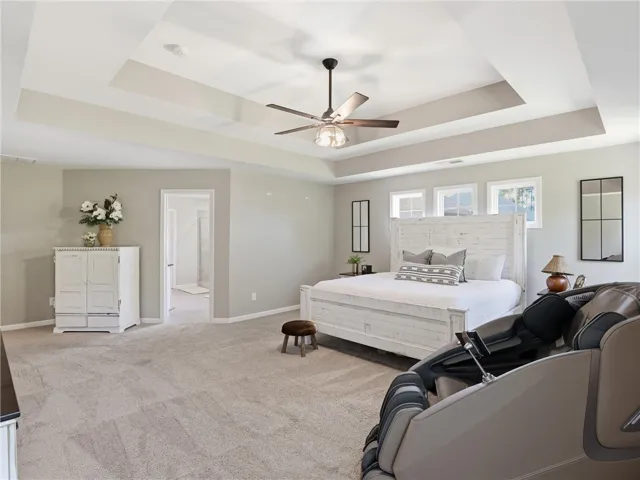 A spacious primary bedroom features a unique tray ceiling, plush carpeting, and abundant natural light.