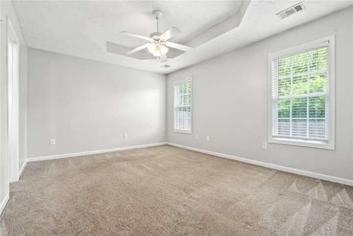 tray ceiling