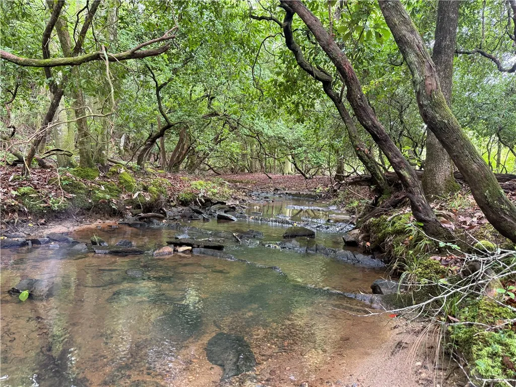 A tranquil stream meanders through a lush, verdant forest, offering a serene natural escape.