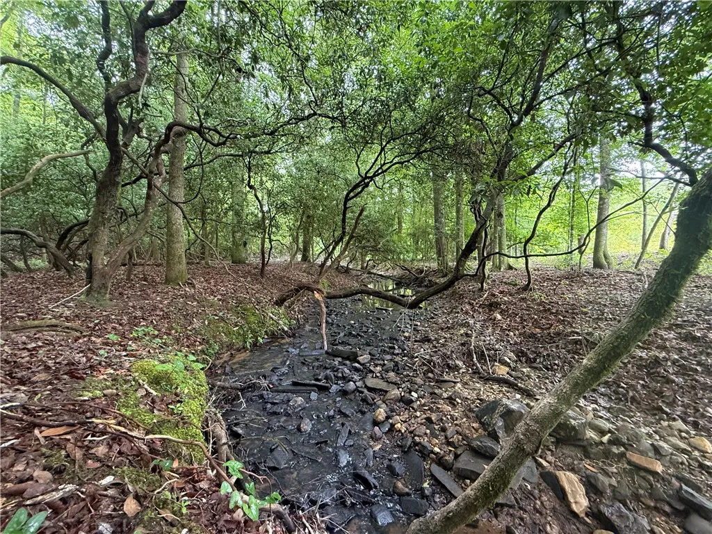 A tranquil, tree-lined stream meanders through this peaceful, forested parcel.