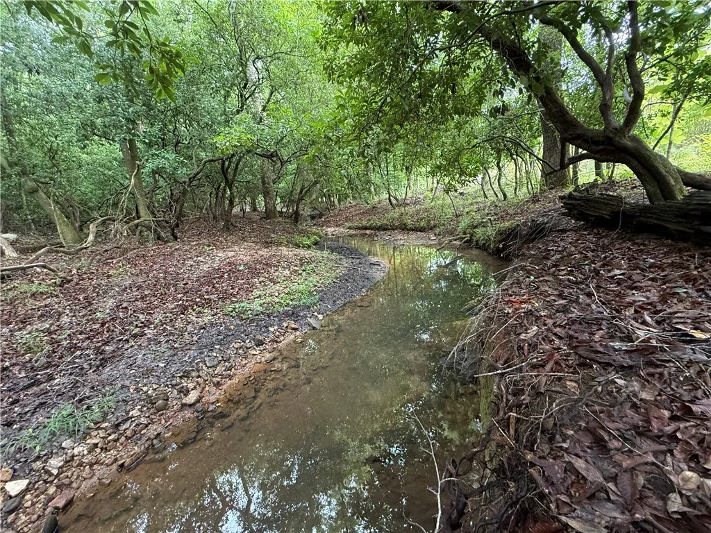 Discover a tranquil stream flowing through a lush, verdant woodland setting.