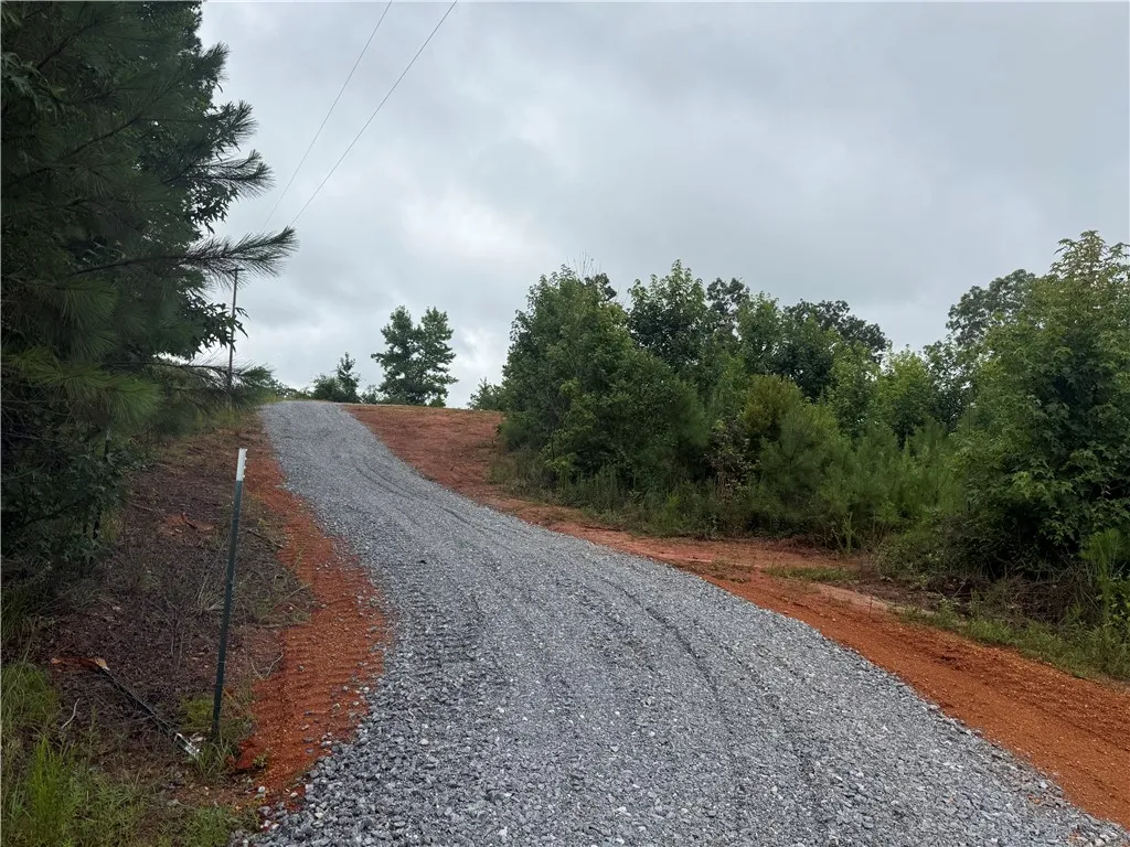 A private gravel road leads to an elevated, wooded homesite, offering tranquility.