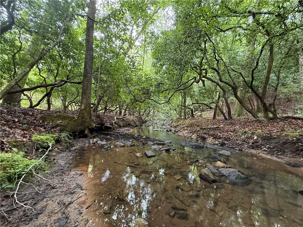 Discover a tranquil stream meandering through a naturally wooded landscape, an idyllic natural retreat.