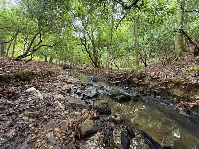 A tranquil stream meanders through a lush, tree-lined landscape, offering serene natural beauty.