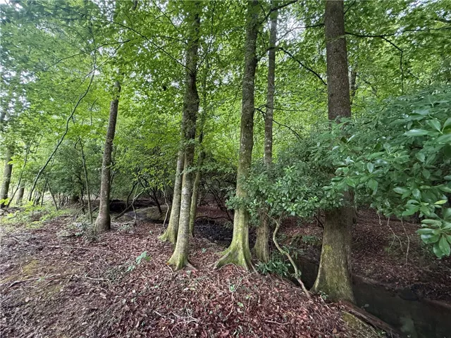 A tranquil, wooded landscape with a small stream winding through, offering natural serenity.