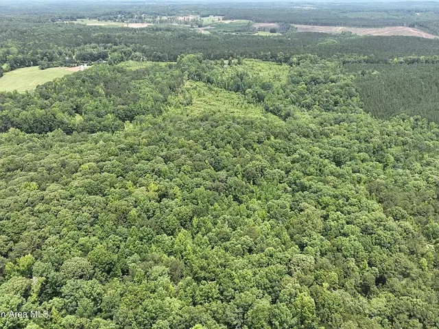 00 Lindsey Road, Eclectic, Alabama 36024