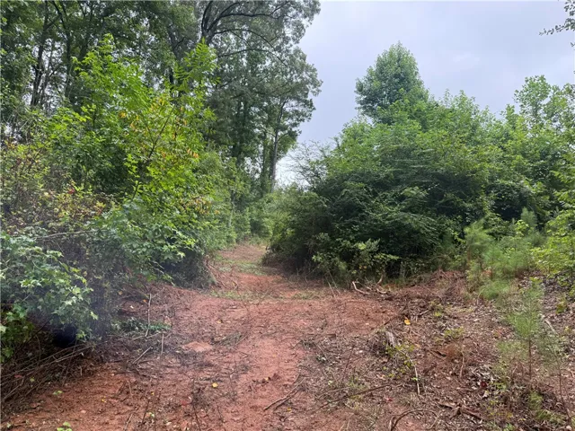 A promising land parcel beckons, surrounded by lush, mature greenery.