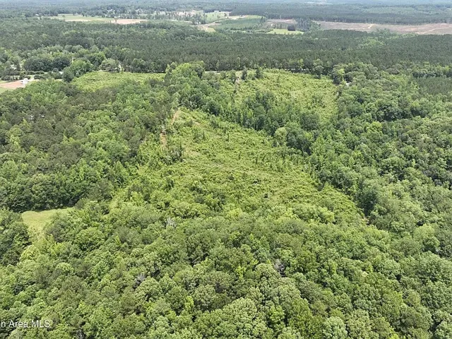 00 Lindsey Road, Eclectic, Alabama 36024