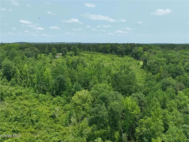 00 Lindsey Road, Eclectic, Alabama 36024