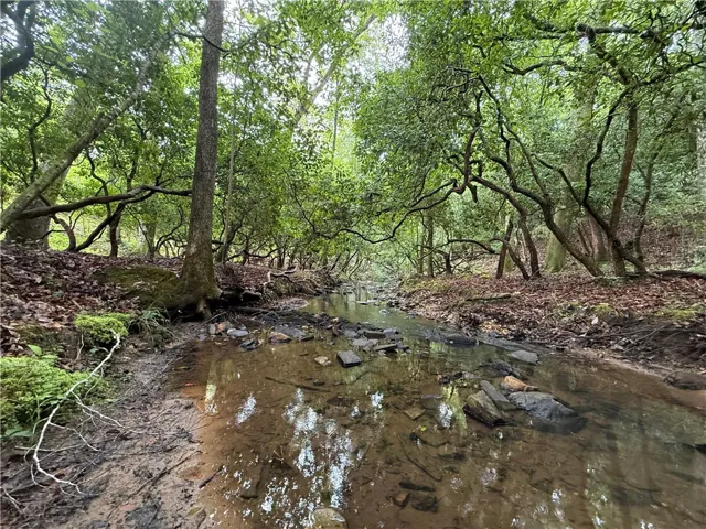 Discover a tranquil stream meandering through a naturally wooded landscape, an idyllic natural retreat.