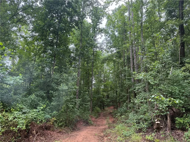 A secluded wooded lot with a cleared path, perfect for a private retreat.