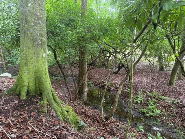 A tranquil, wooded landscape offers peaceful serenity with mature trees and natural stream.