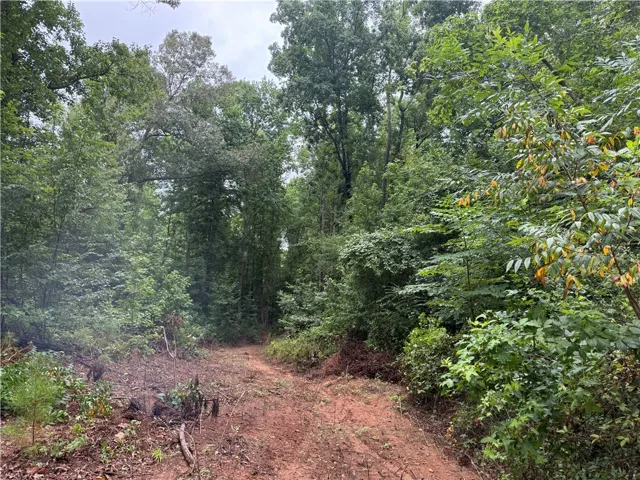 A rustic dirt path meanders through a dense forest, offering a tranquil escape.