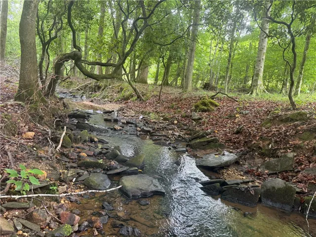 Discover a tranquil stream meandering through a verdant, wooded landscape.