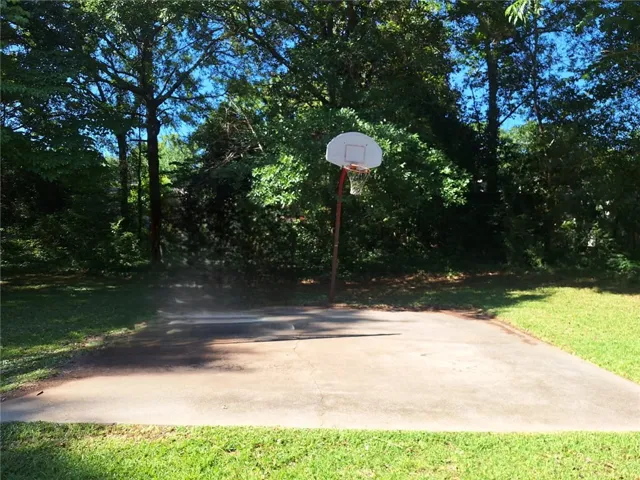 A well-maintained concrete court provides a private basketball experience amidst lush greenery.