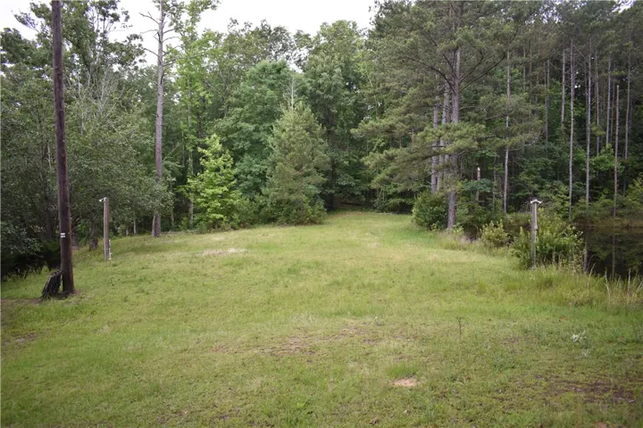 A tranquil, well-maintained lawn unfolds toward a serene pond, embraced by a lush, verdant forest.