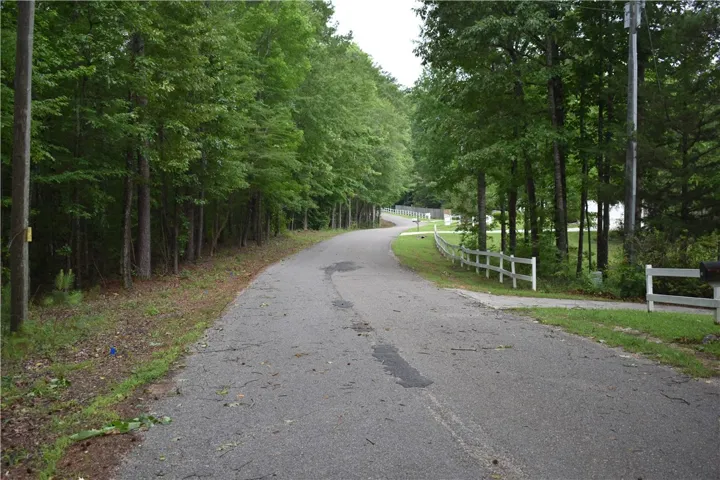 A tranquil, tree-lined asphalt drive welcomes you home, hinting at peaceful seclusion.