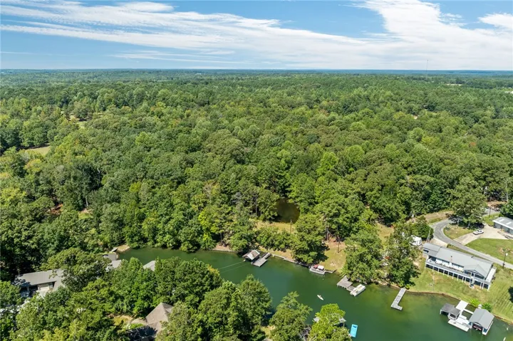 An aerial perspective reveals a serene lake community nestled amidst a verdant, sprawling forest.