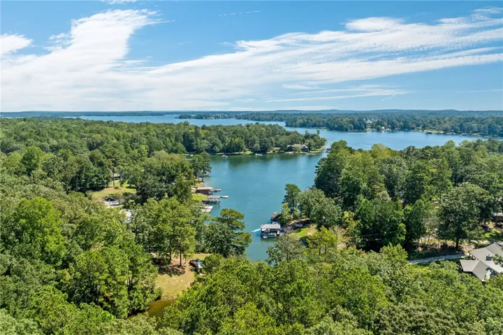 An aerial perspective reveals a vibrant lakeside community nestled amongst a verdant forest.