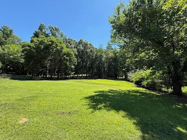 A verdant, open field bordered by a dense line of mature trees, offering ample space for outdoor activities.