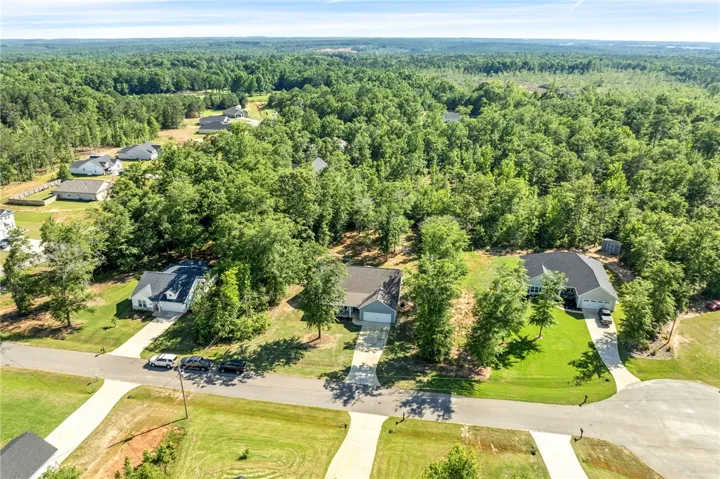 An aerial perspective reveals a quiet, tree-lined neighborhood offering spacious lots and ample privacy.