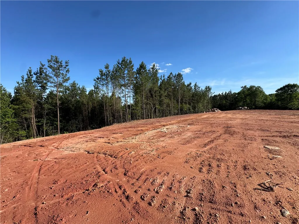 Cleared land with mature trees borders offers a prime building opportunity.