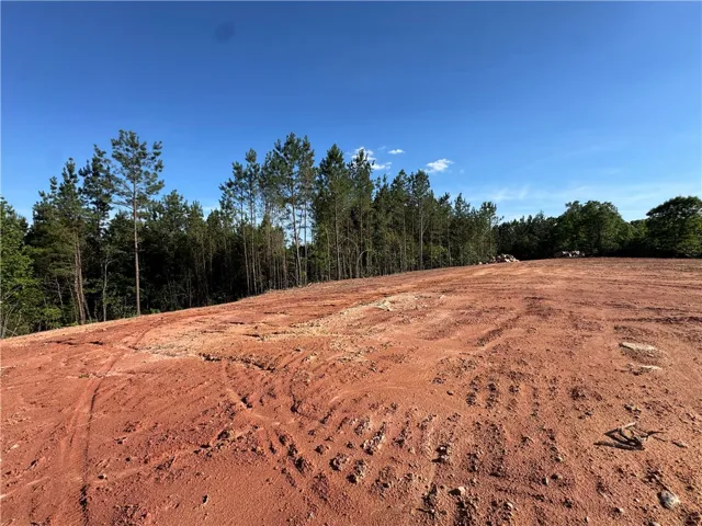 Cleared land with mature trees borders offers a prime building opportunity.