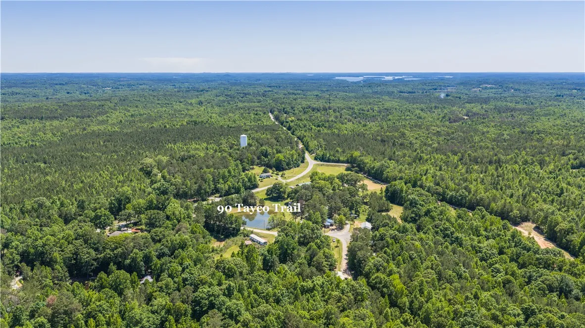 Vast, verdant forest surrounds a serene pond and tranquil rural dwelling.