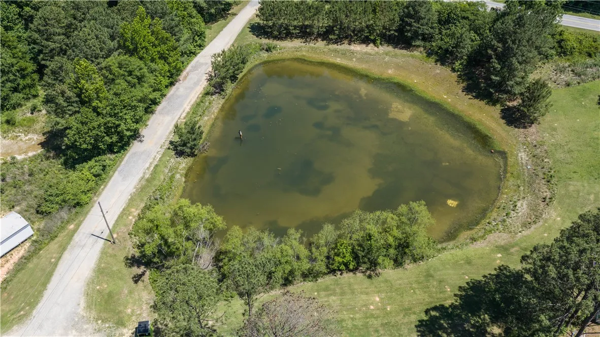 An aerial perspective reveals a serene pond with surrounding greenery and a connecting road.