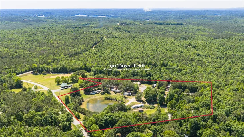 An aerial panorama reveals a vast, tree-filled landscape with a tranquil pond at its heart.